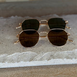 Berkeley Sunglasses